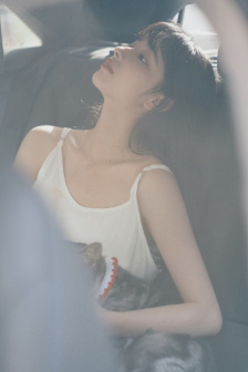 唐砖电视剧免费全集观看流畅